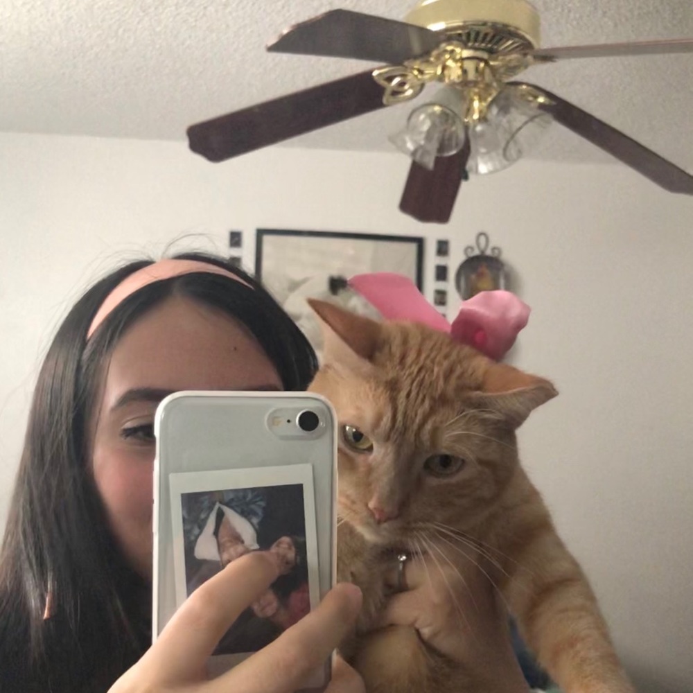 Meet your Posher, Daisy